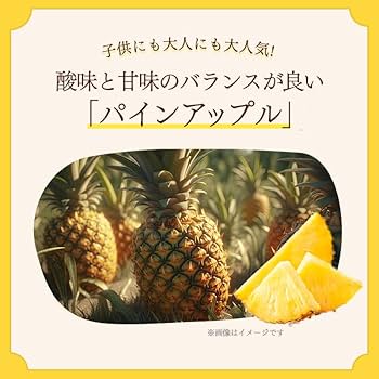 しょこら ラメジャカードソックス／日本製／洗濯機で洗える | TRUNK